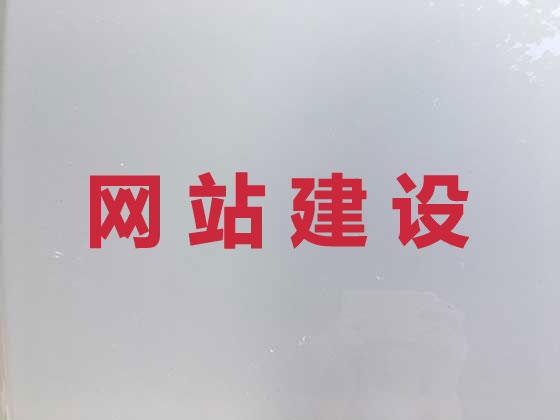 重庆网站开发公司